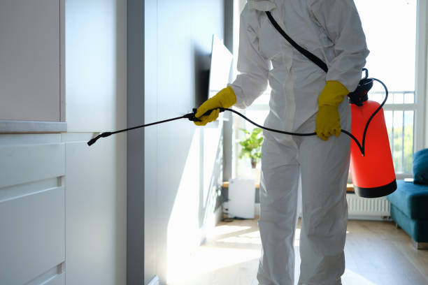 Best Health and Safety Mold Remediation in Bridgeport, WV