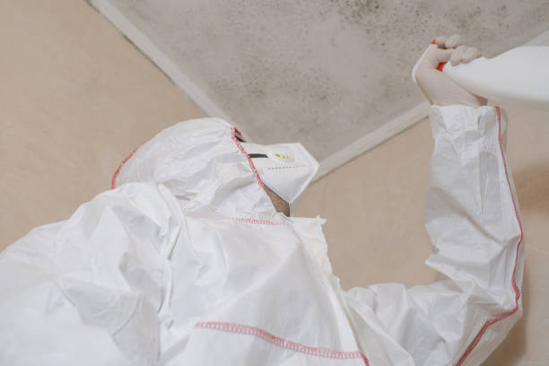 Best Bathroom Mold Remediation in Bridgeport, WV